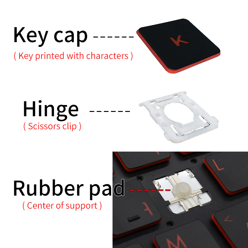 ปุ่มกดแบบ Scissor Clip Hinge ส - Rtx 3090 24Gb Gddr6X บทวิจารณ์และราคา